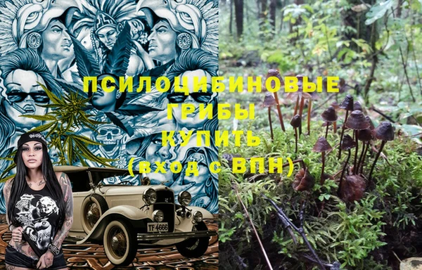шишки Баксан