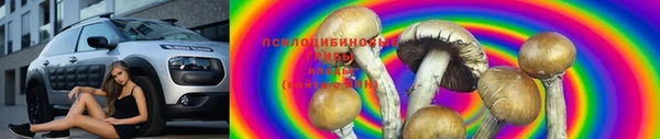 альфа пвп Армянск