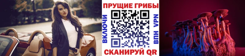 Псилоцибиновые грибы Psilocybine cubensis  Лениногорск 